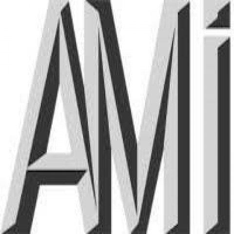 Ami logo8